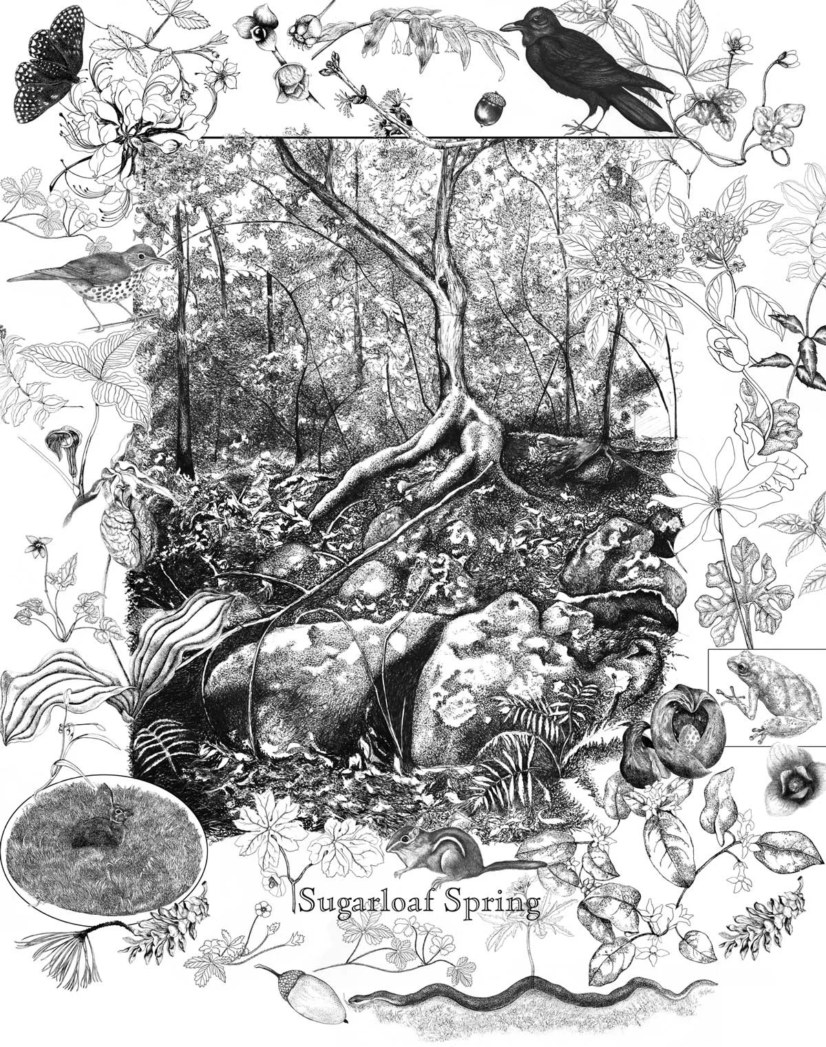 Sugarloaf Spring Poster