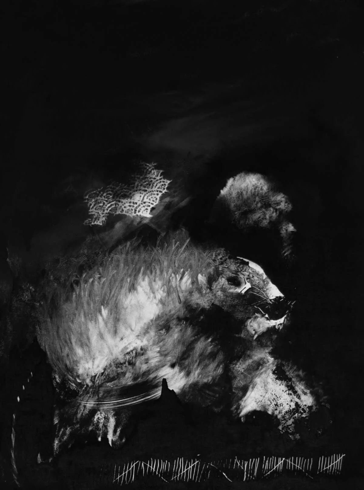 Polar Bear