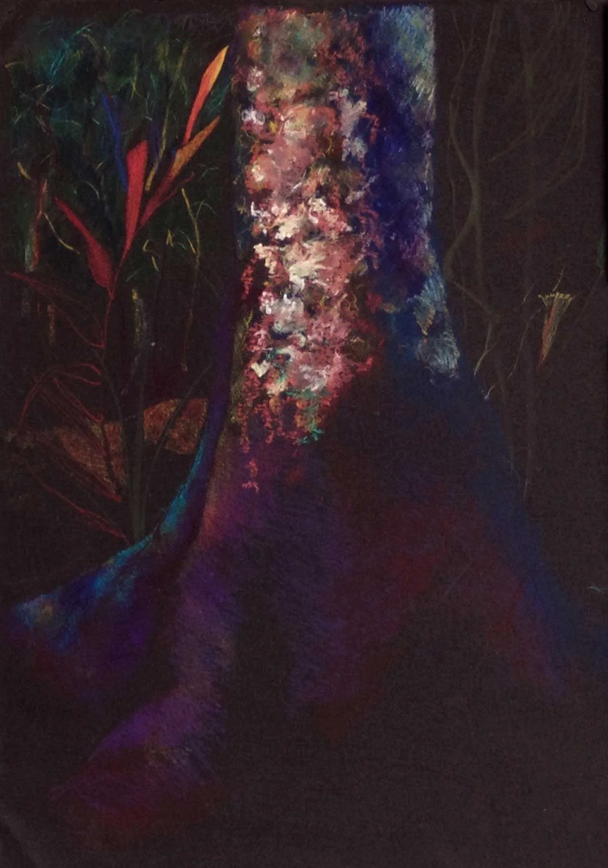Epiphytes Tree Understory