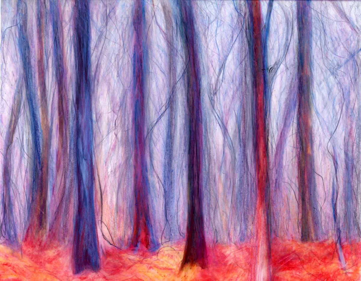 WintryForestwalk.jpg