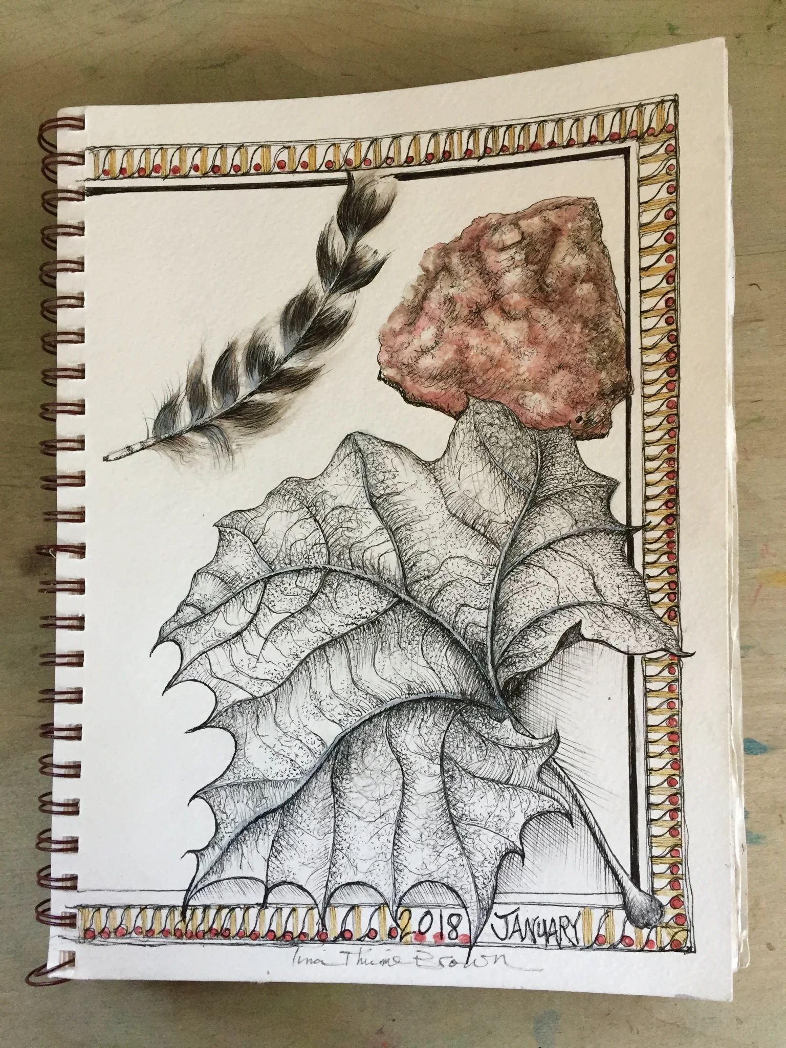 Art and Nature Sketching At Woodend Sanctuary