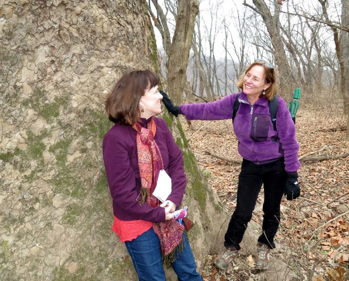 A Spring Hike on Sugarloaf Mountain