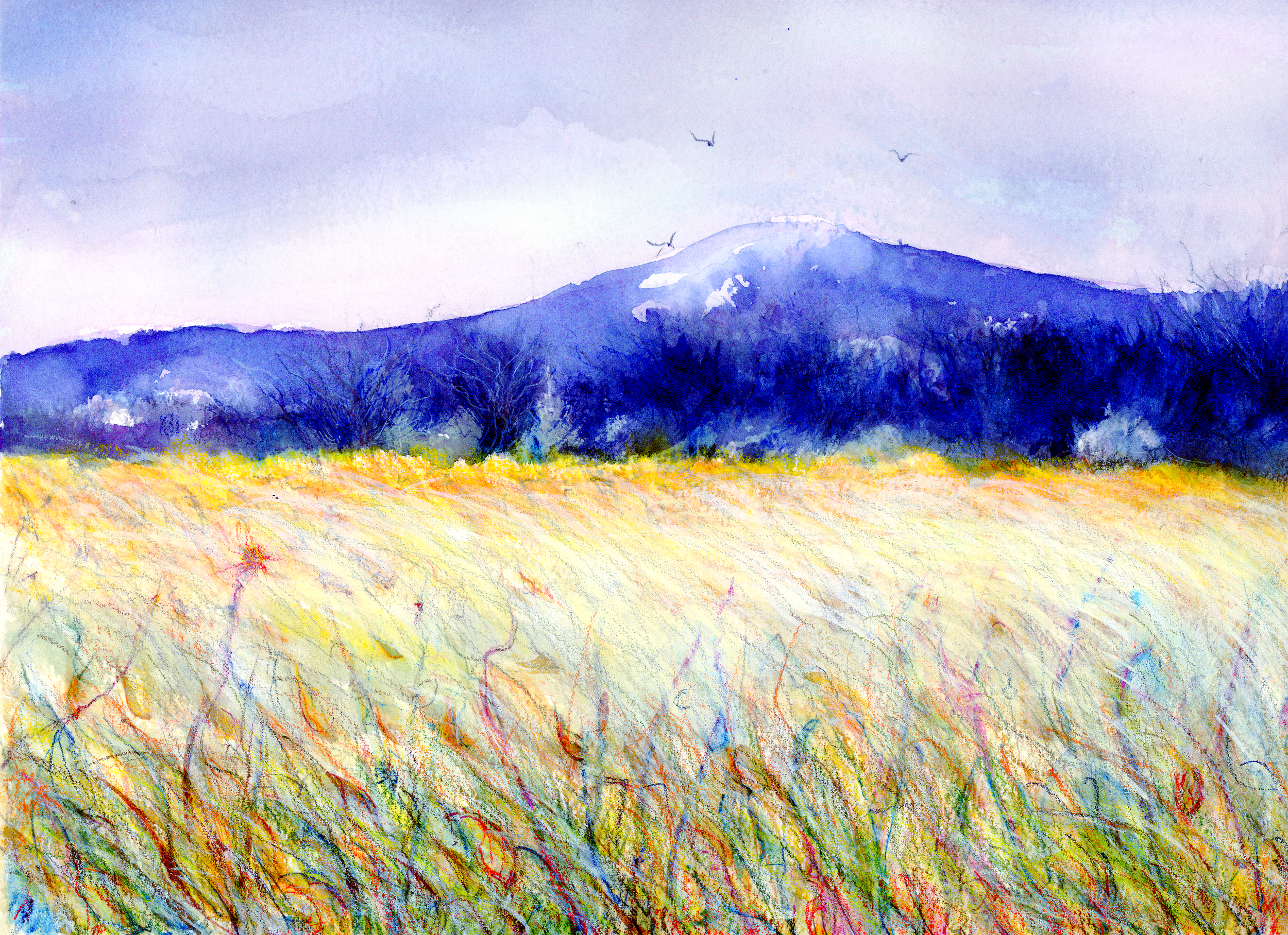Countryside Artisans Fall Studio Tour