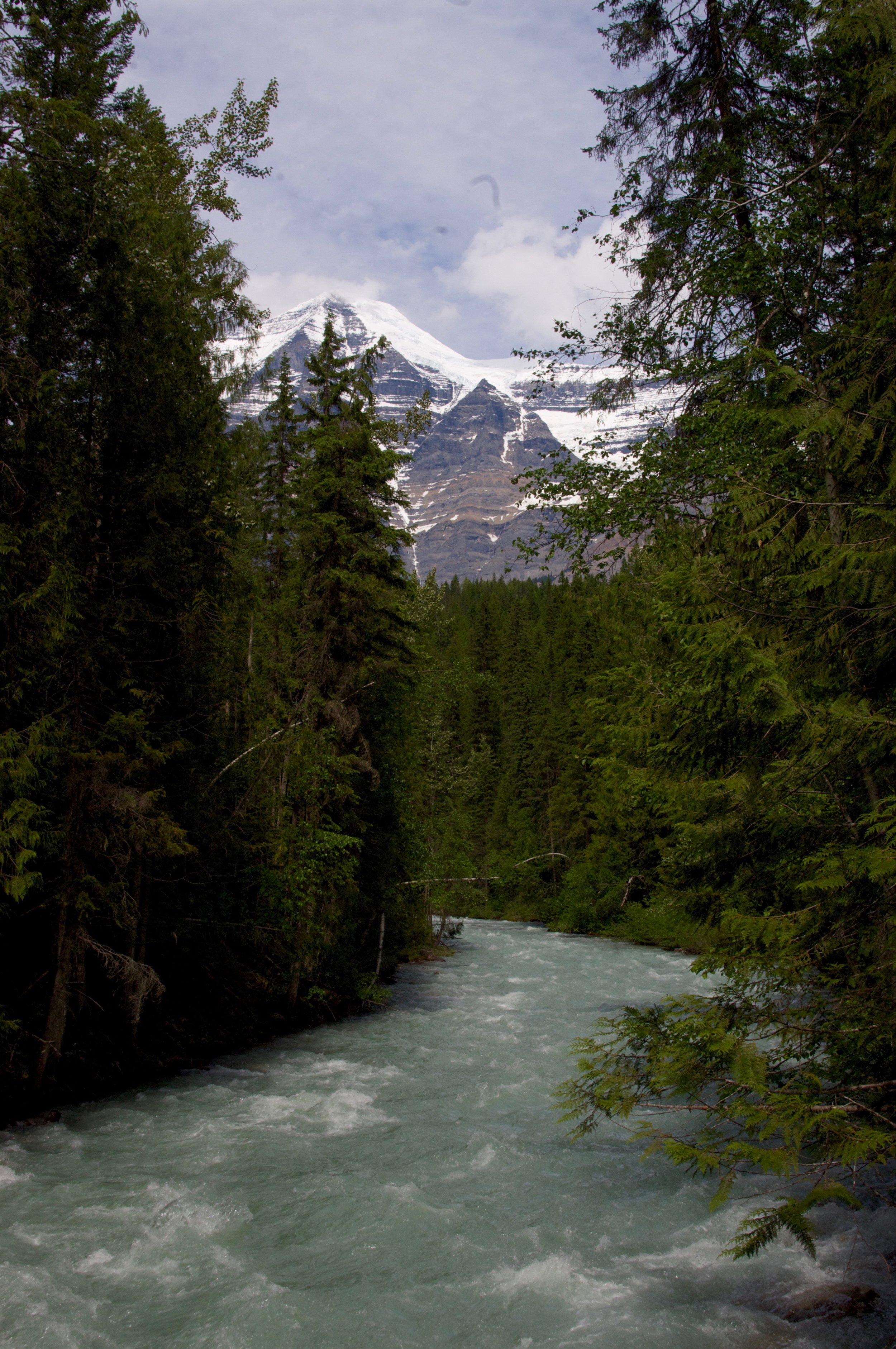 _IGP9569.jpg