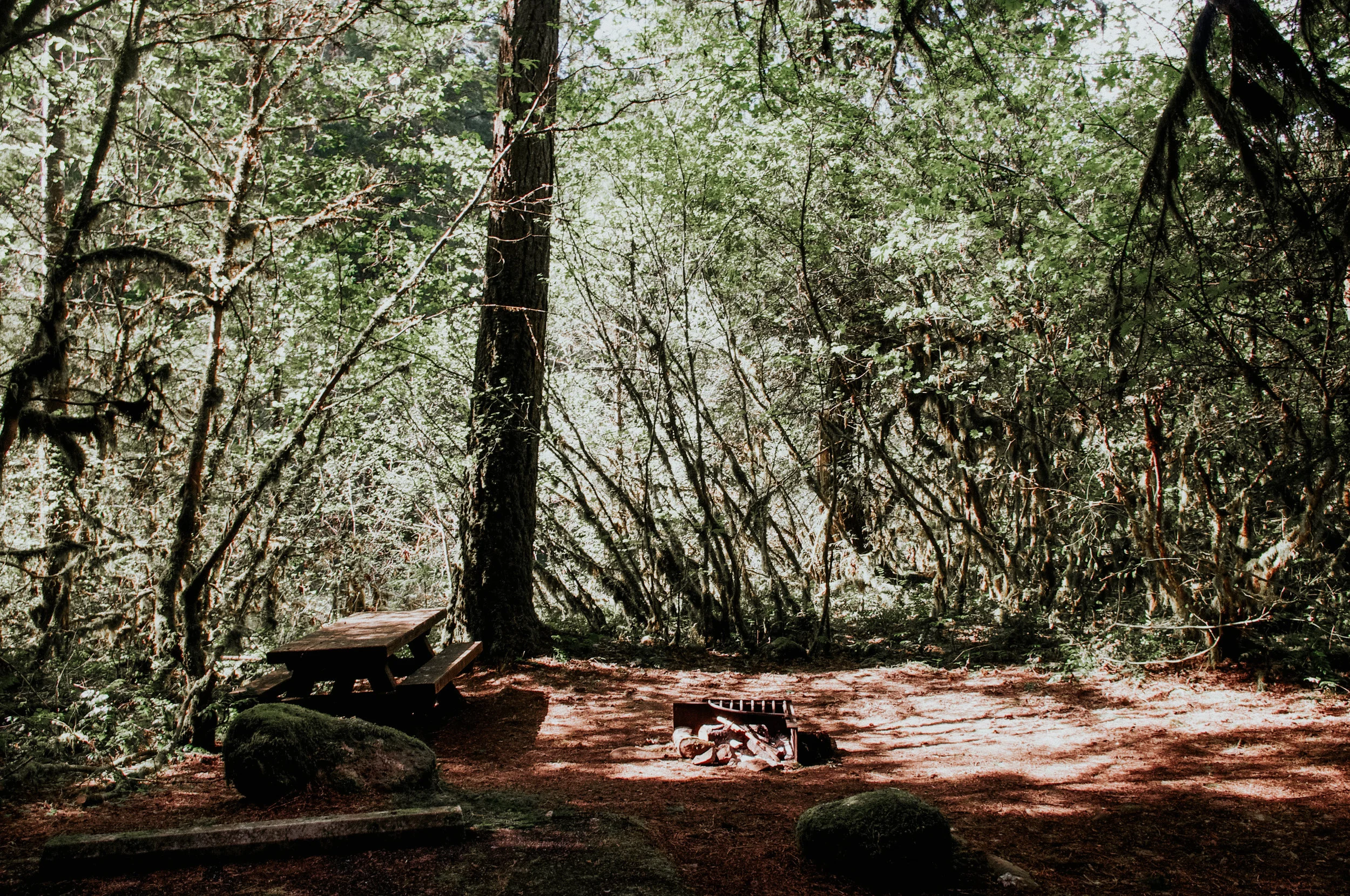 _IGP8367.jpg