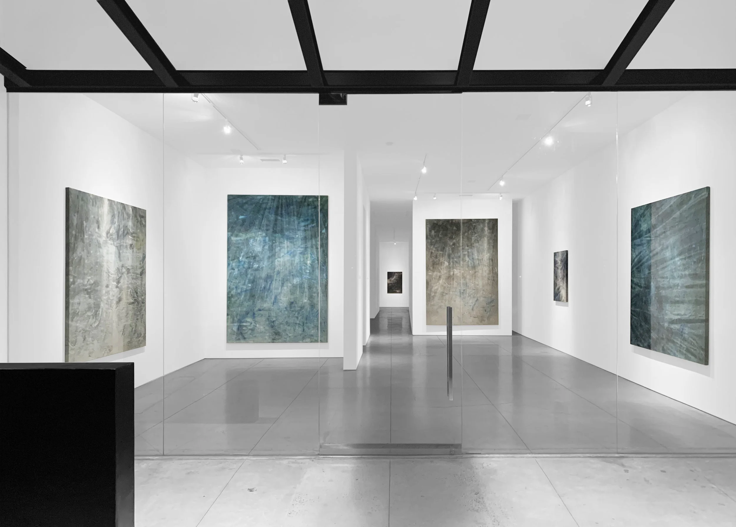 Cole Sternberg Solo Exhibition 2019_Peter Blake Gallery_Installation View_0_Book.jpg