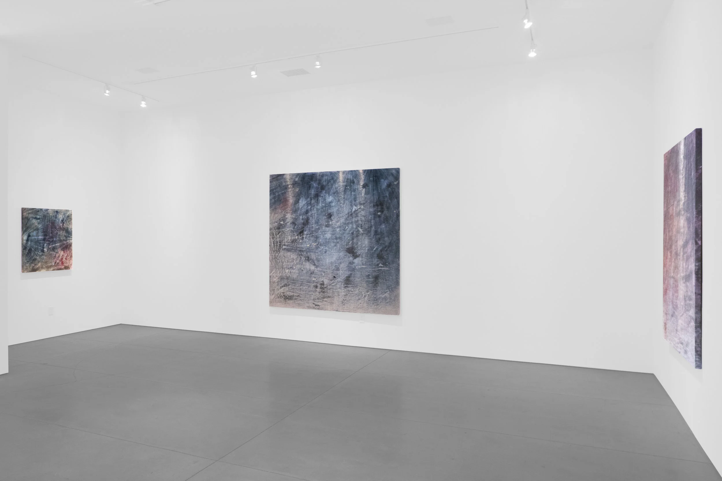 Cole Sternberg Solo Exhibition 2019_Peter Blake Gallery_Installation View_15.jpg
