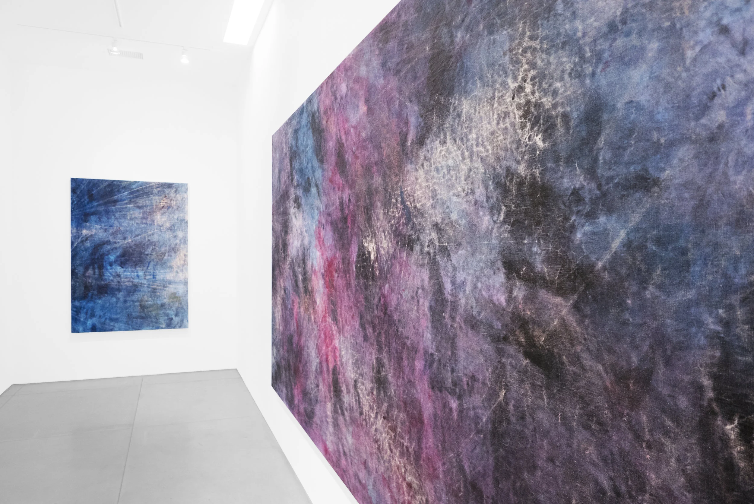 Cole Sternberg Solo Exhibition 2019_Peter Blake Gallery_Installation View_20.jpg