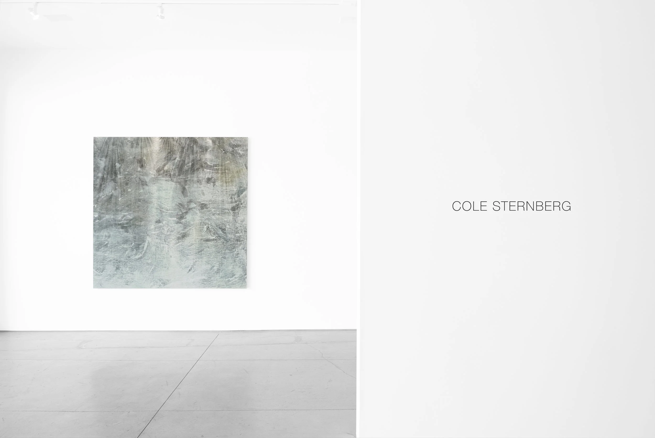 Cole Sternberg Solo Exhibition 2019_Peter Blake Gallery_Installation View_5.jpg