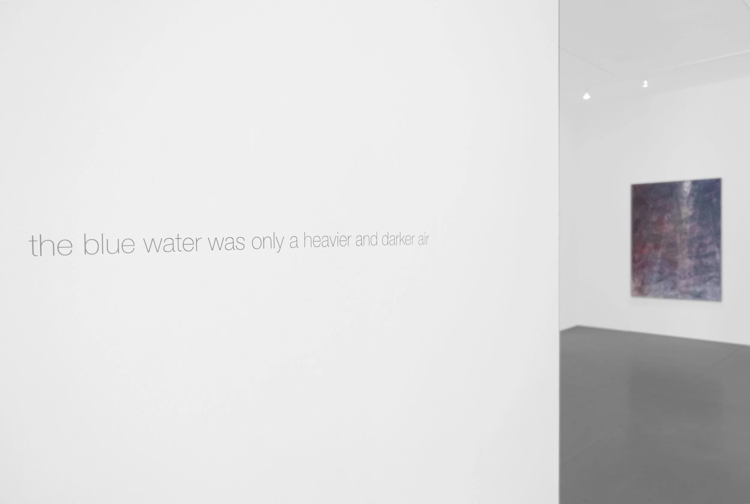 Cole Sternberg Solo Exhibition 2019_Peter Blake Gallery_Installation View_9.jpg