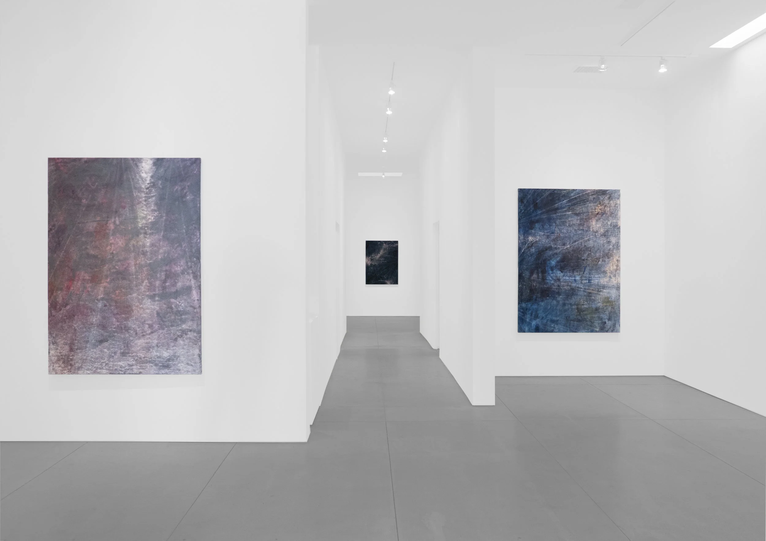 Cole Sternberg Solo Exhibition 2019_Peter Blake Gallery_Installation View_16.jpg