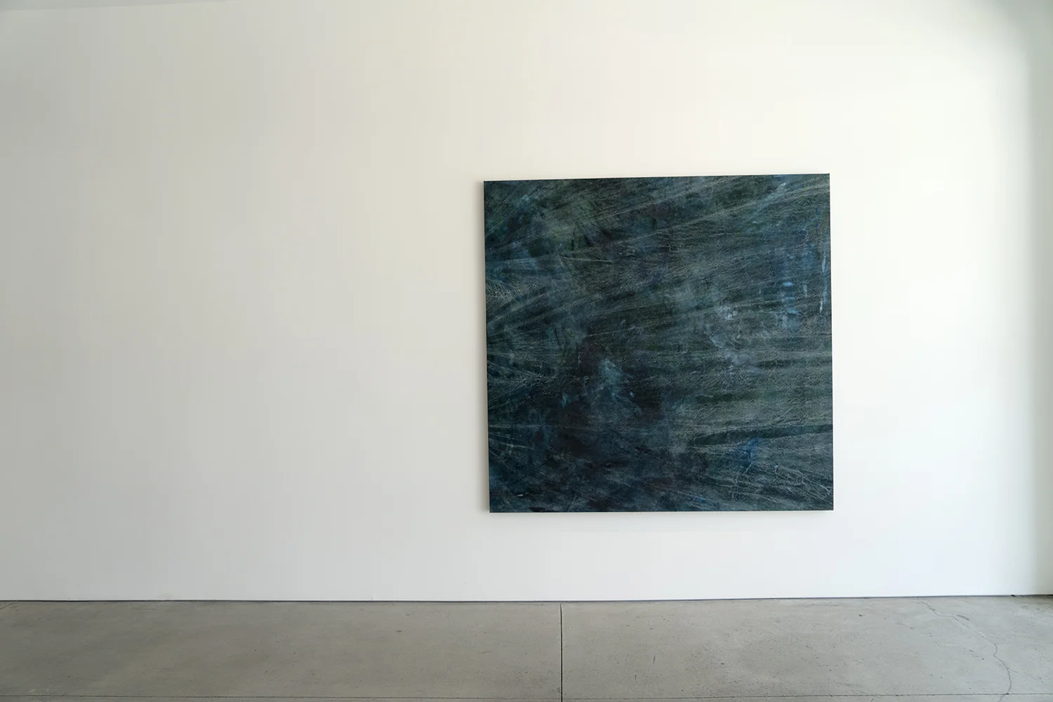 at a certain depth the light came from below and the darkness from above - cole sternberg - peter blake gallery.jpg
