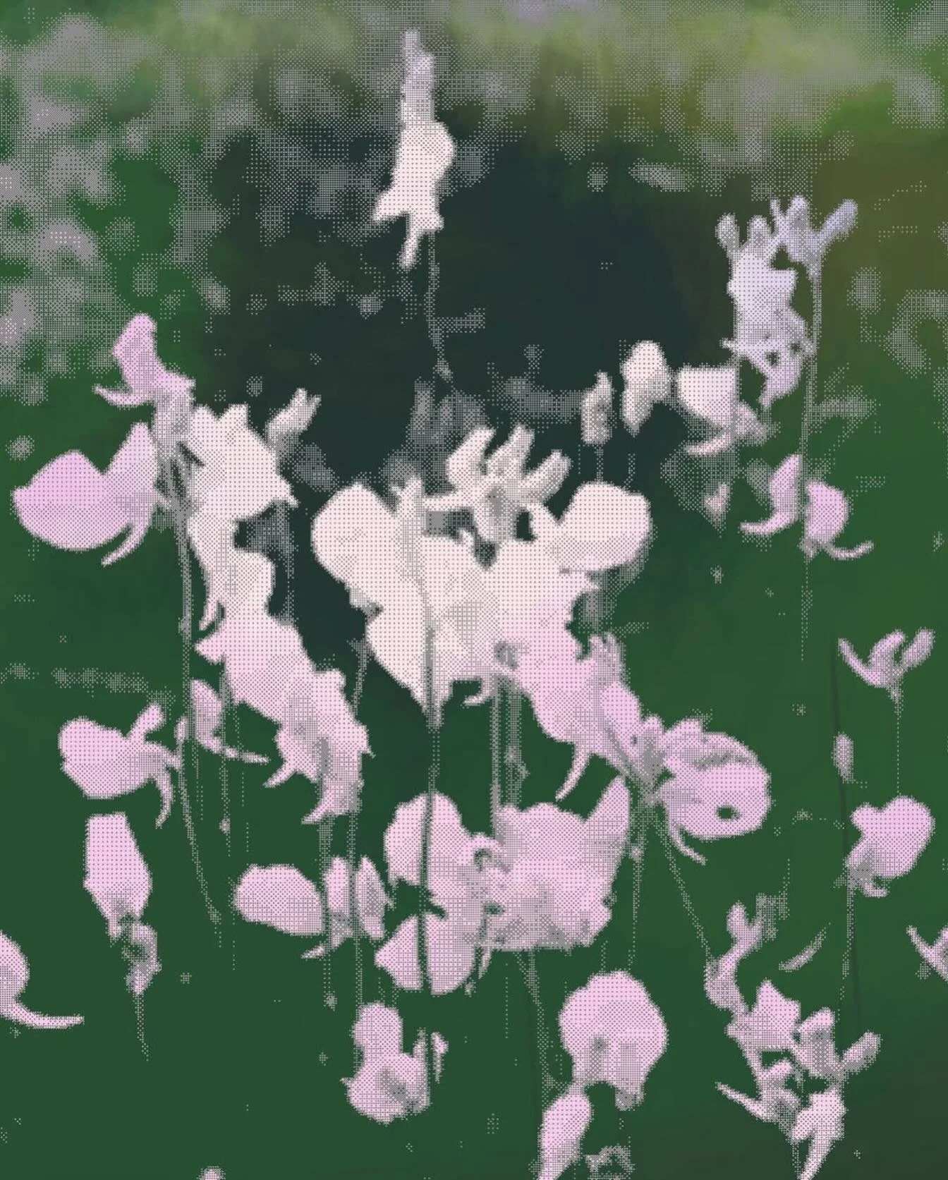 Repost from @nft.magazine
&bull;
Paris Photo had a dedicated digital art section for the third year in a row. Curated by the incredible&nbsp;@ninaroehrs, it brought together 13 galleries, with multiple projects and platforms.

Tap the LINK IN BIO to 