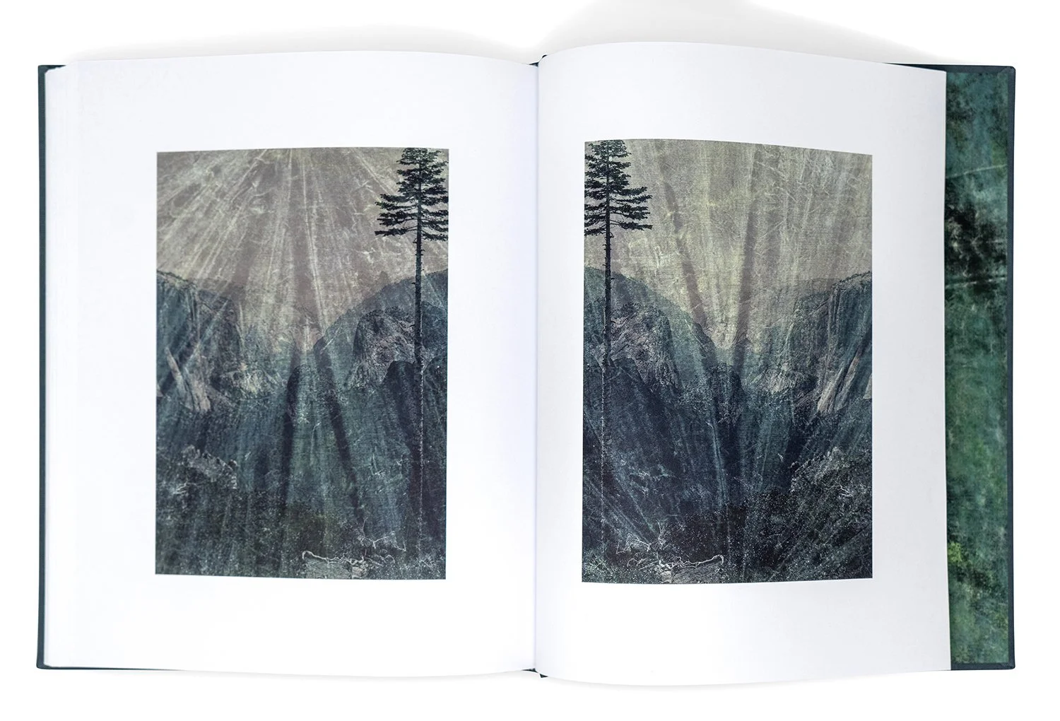 my first summer in the sierra sample pages - 9 - lr.jpg