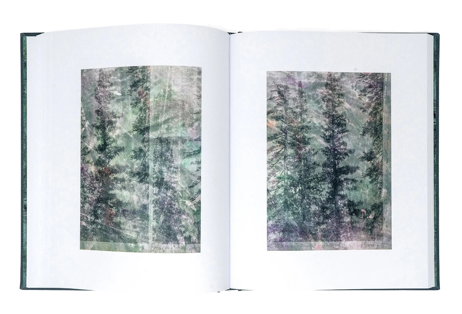 my first summer in the sierra sample pages - 4 - lr.jpg