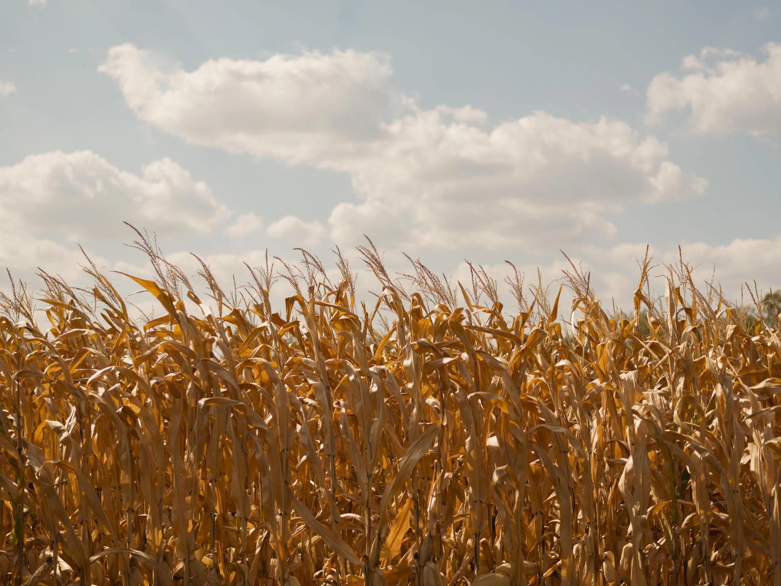 richardson-columbus ohio-data centers story-102.jpg