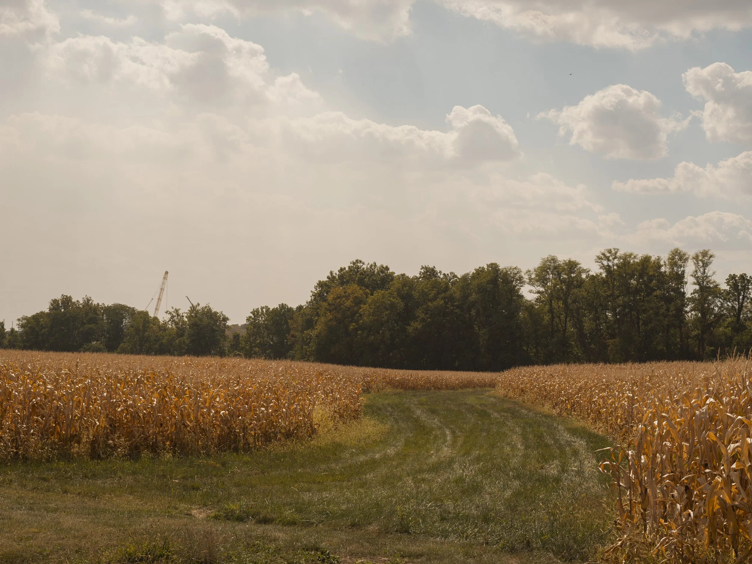 richardson-columbus ohio-data centers story-106.jpg