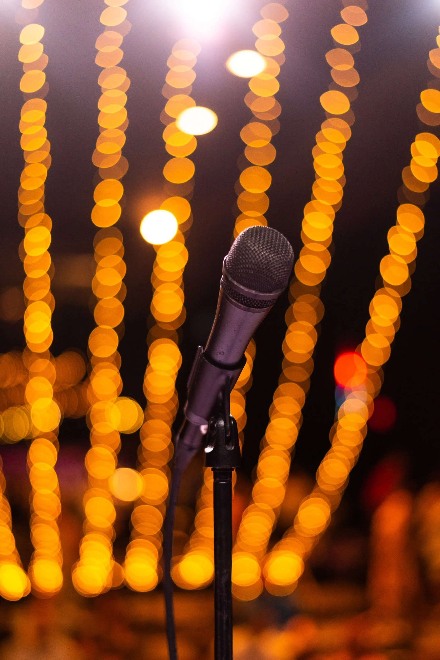  richardson_wiethorn_wedding samples_17.jpg