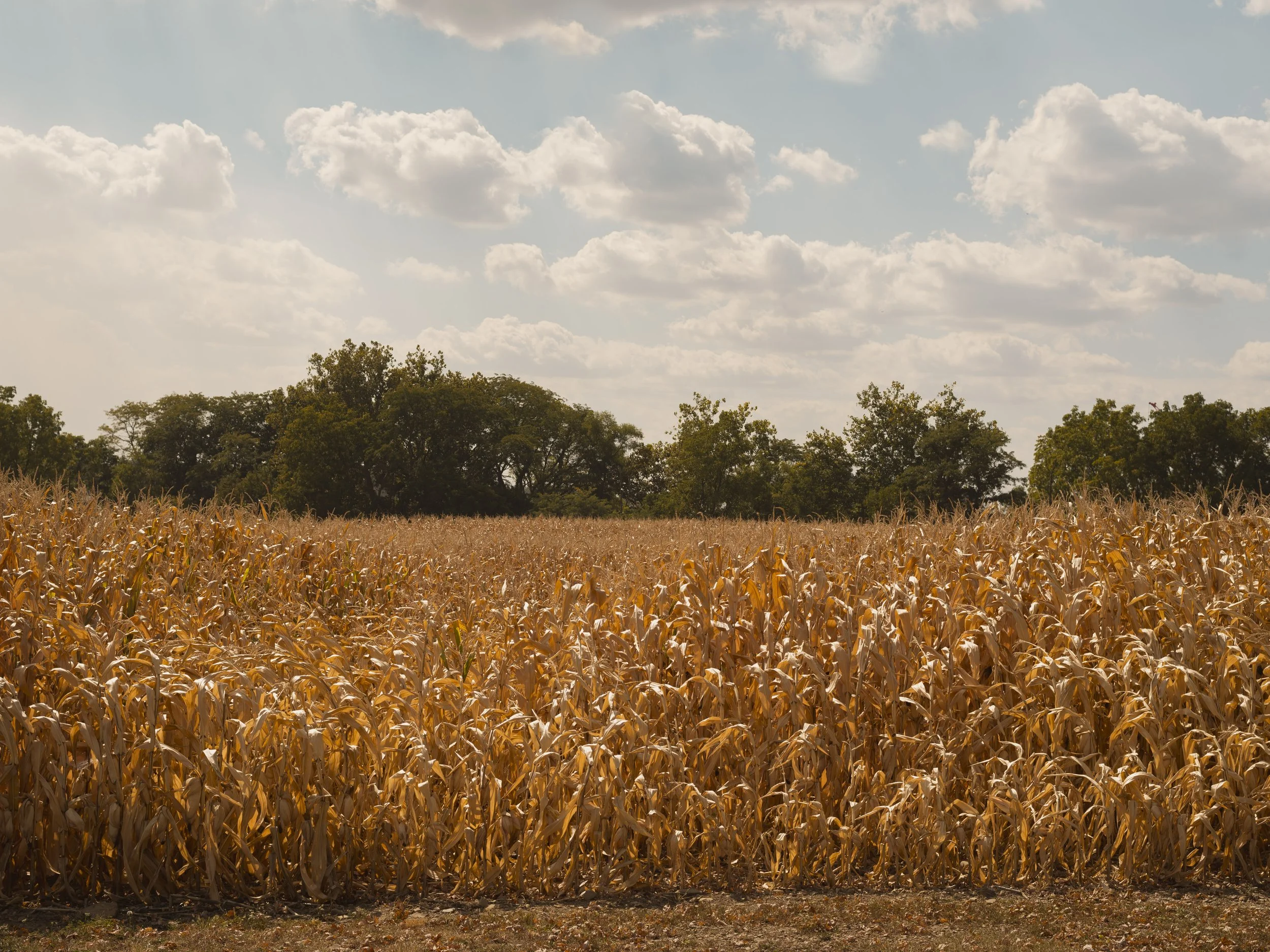 richardson-columbus ohio-data centers story-103.jpg