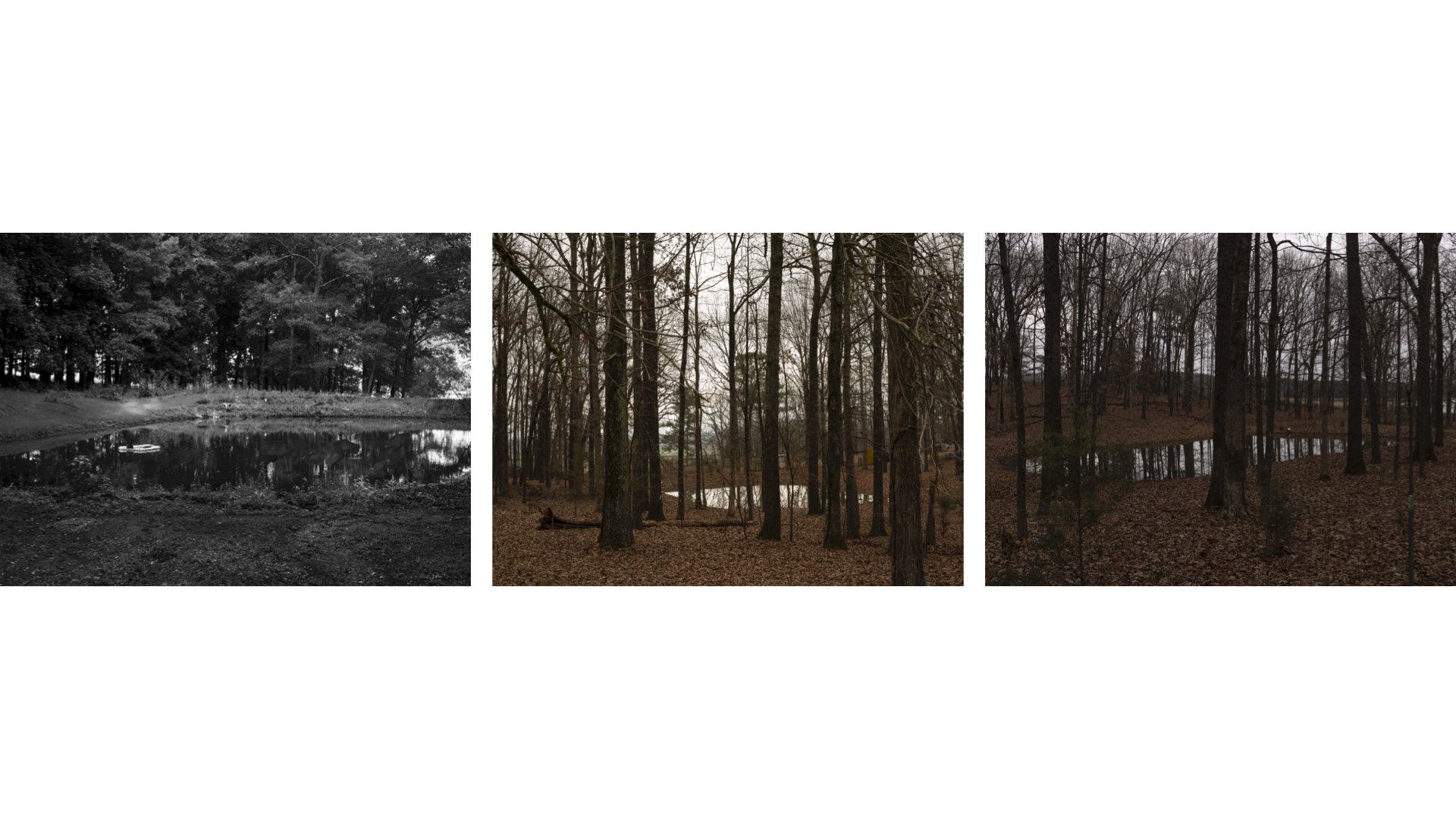  Artist lecture Spring 2026-Jenny Ustick Class.009.jpg