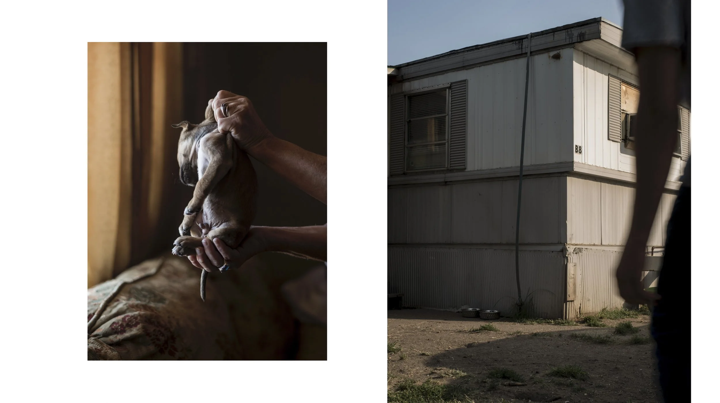 Resized SOMT Constellation files-2.jpg