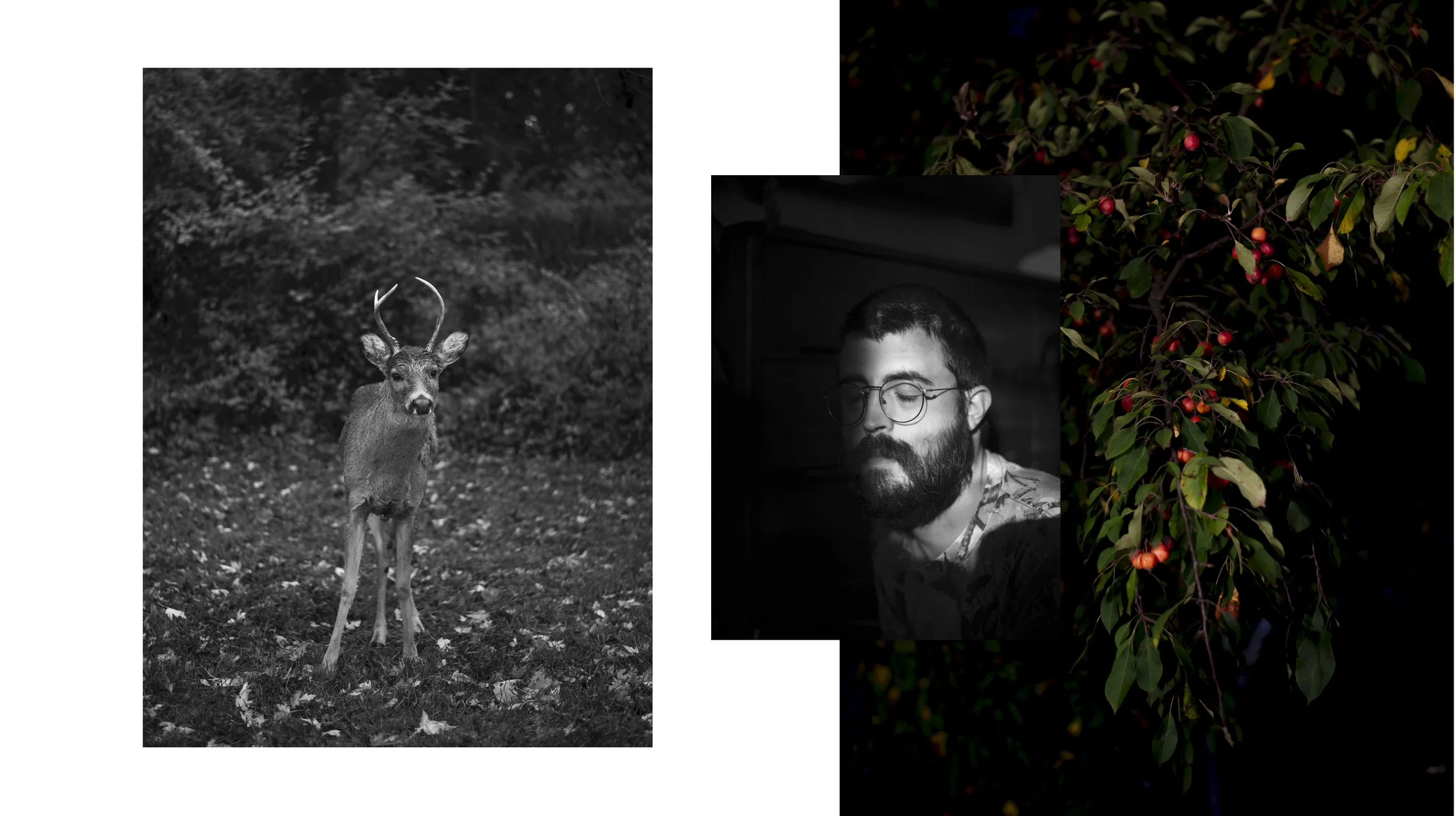 Resized SOMT Constellation files-6.jpg