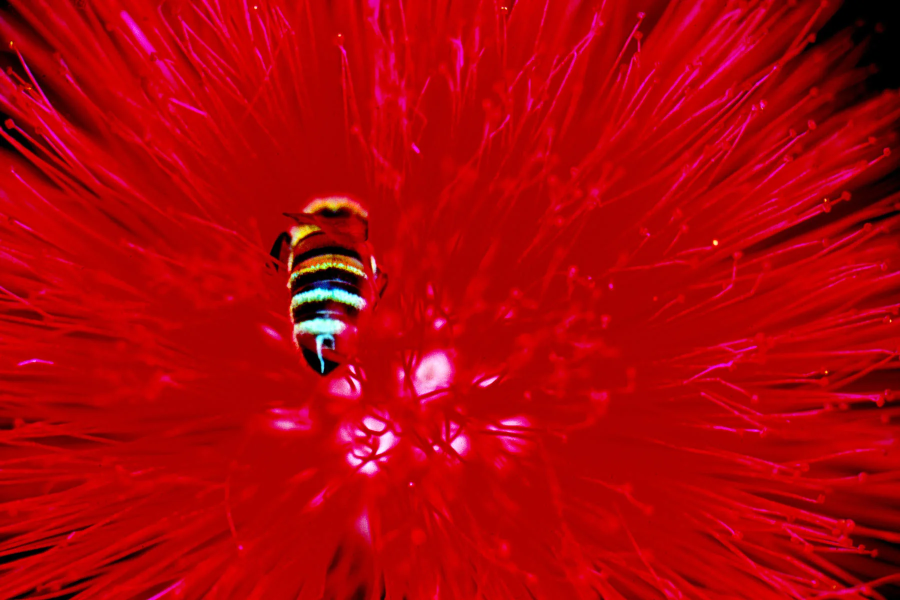 Secrets to a satisfying life