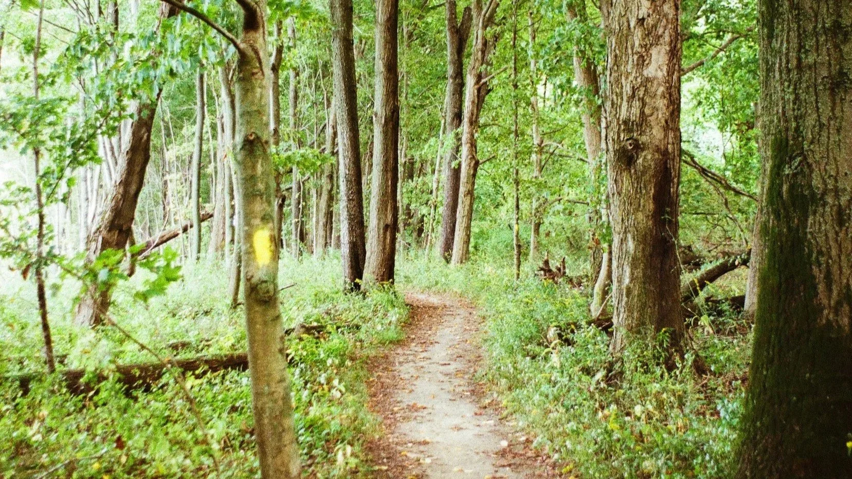 the number one requirement for healing