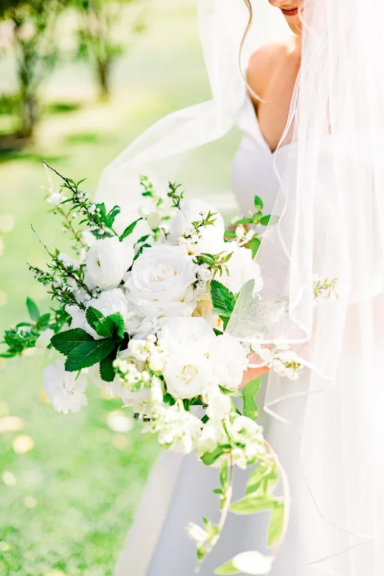 untitled-15.jpg.webp
