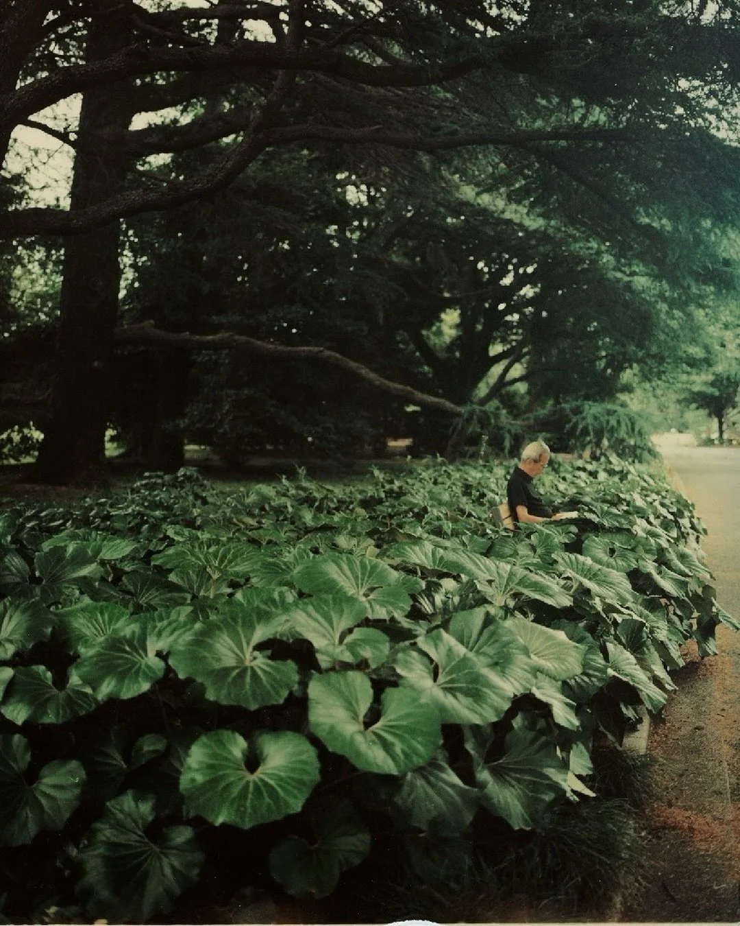 walking in circles shinjuku absorbed