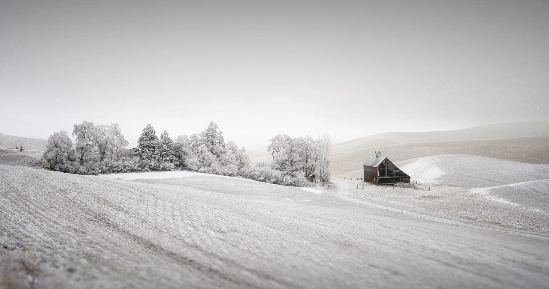 WinterWonderland_Web.jpg