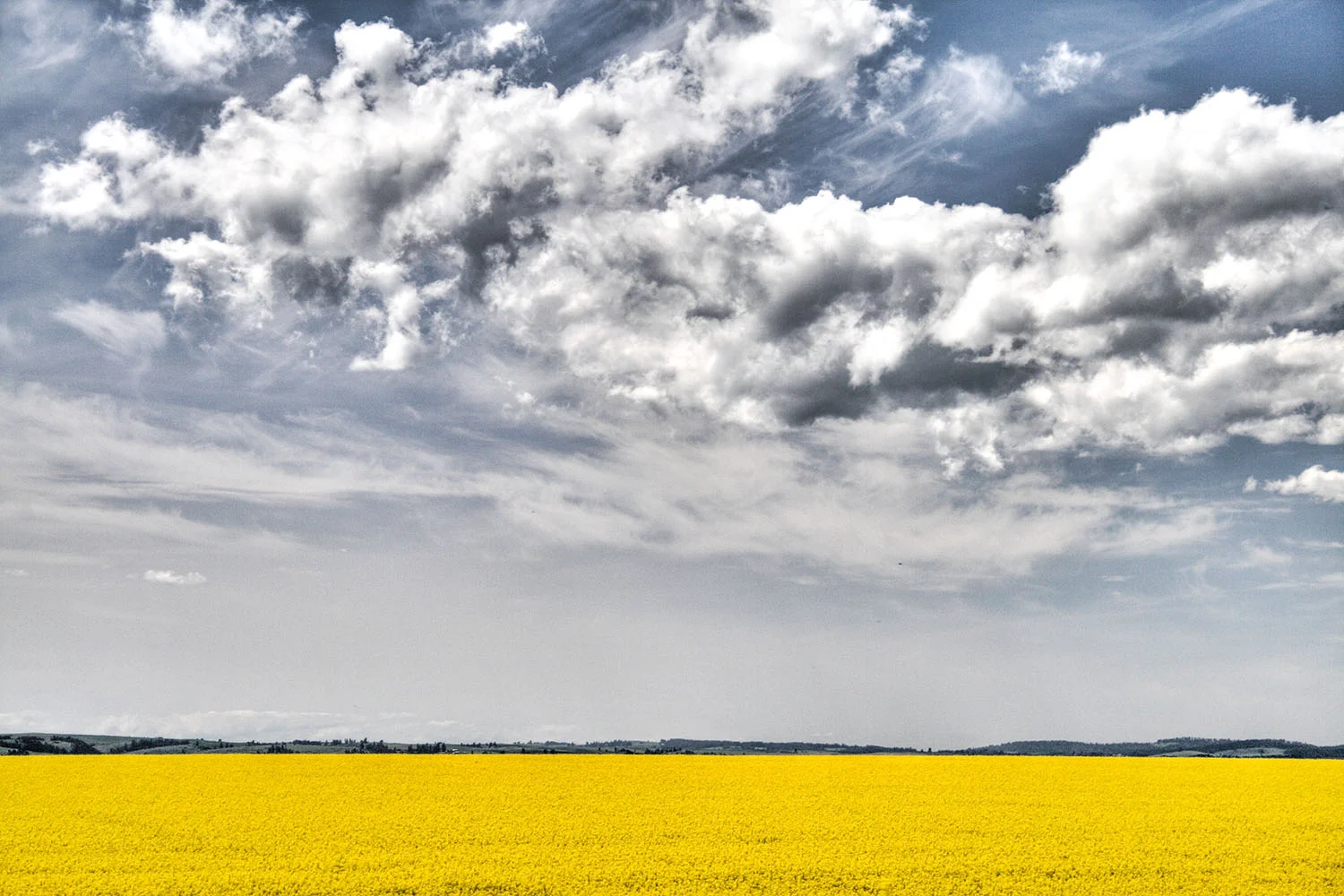 Yellow_Hello.jpg