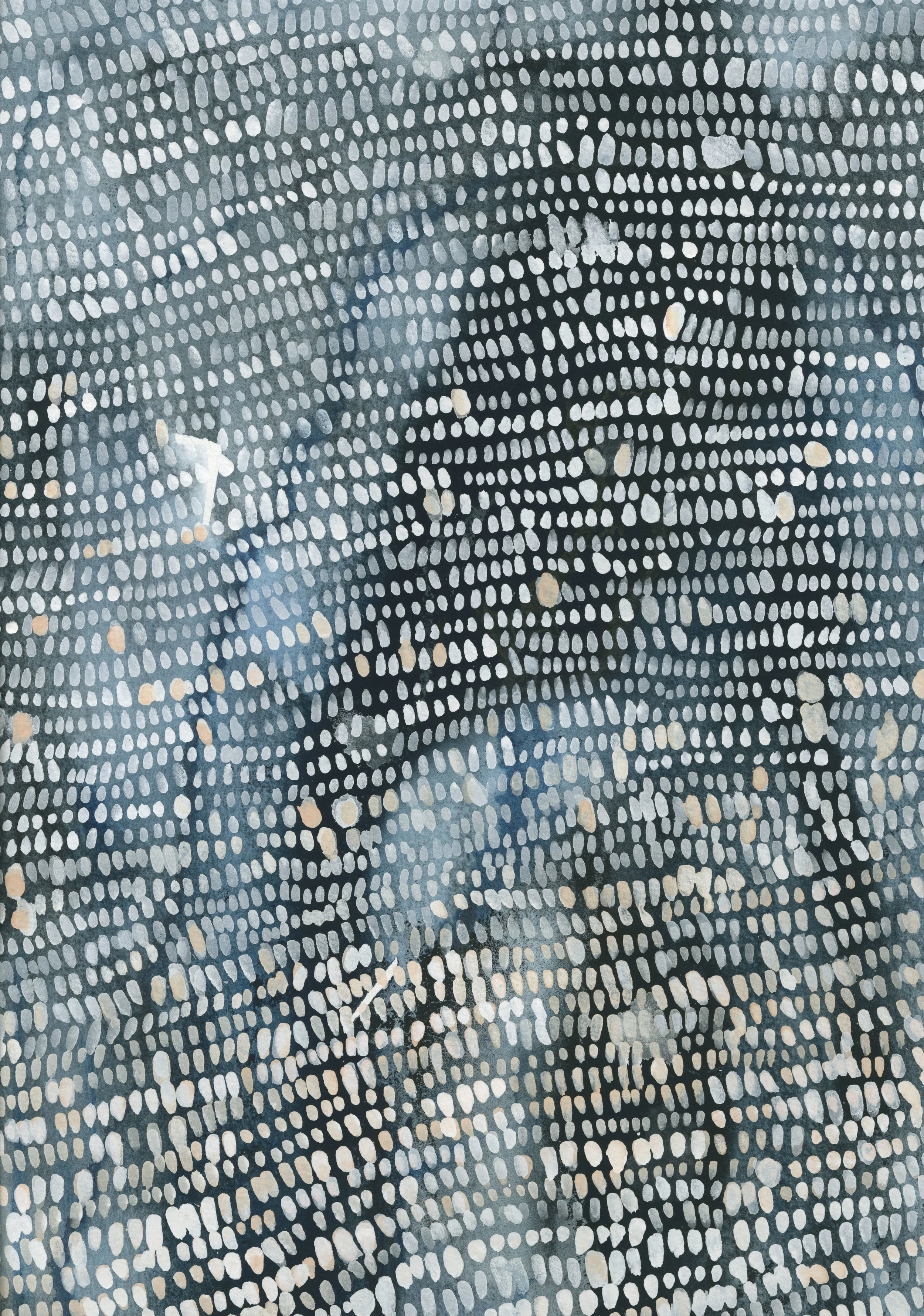 scan 2.jpg
