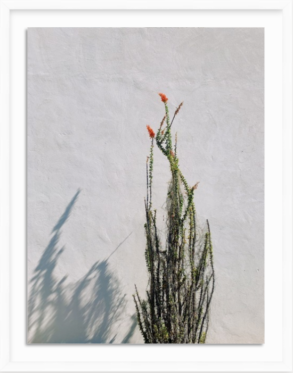 Screen Shot 2019-08-10 at 7.04.07 PM.png