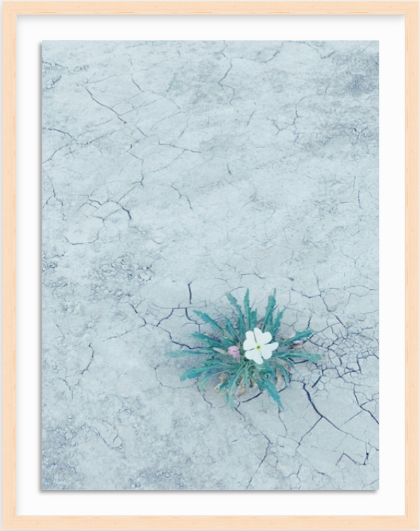 Screen Shot 2019-08-10 at 7.05.43 PM.png