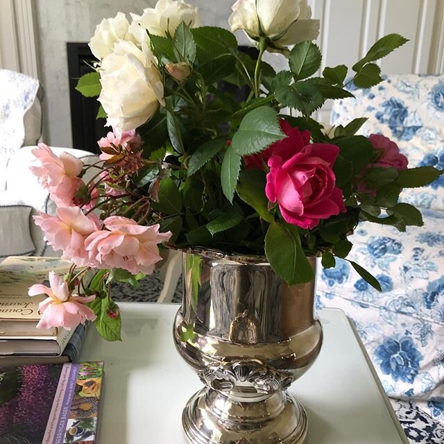 Roses and more roses it&rsquo;s the@most blooms on all the plants I have ever seen here#superplants#rosemagic#rosehealing#roses🌹