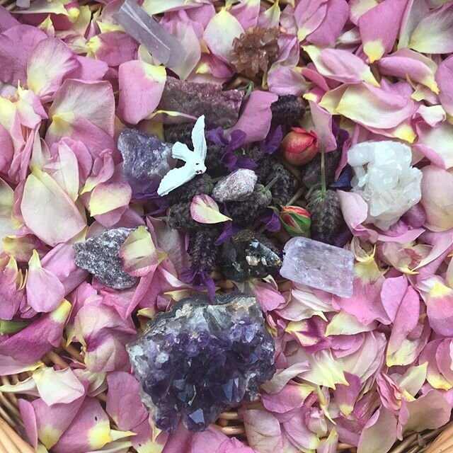 Lavendula, rose petals and crystals to celebrate giving abundantly to myself as well as others in a time of restrictions to notice nature covering us with beauty#floweressences#rose#amethyst#blessingsinthepandemic#loveyourself