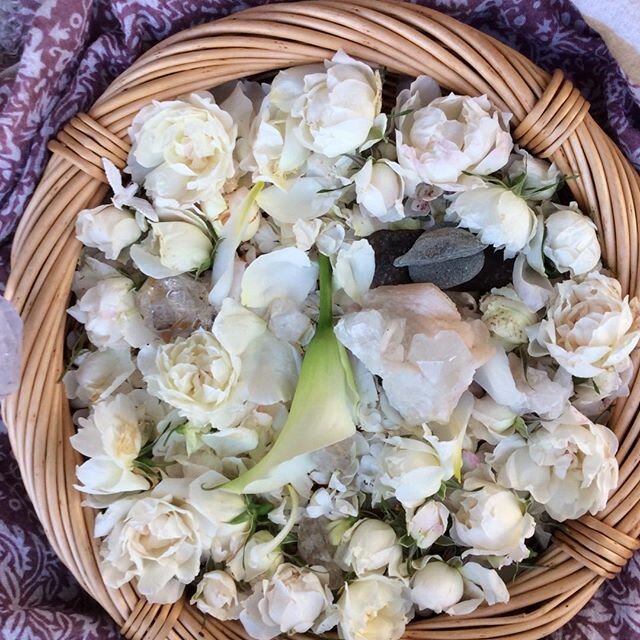 White rose altar for projecting a clear vision, acting with grace and vision#whiterosehealingessence#callalillyforunity#crystalhealing#crystalconducting