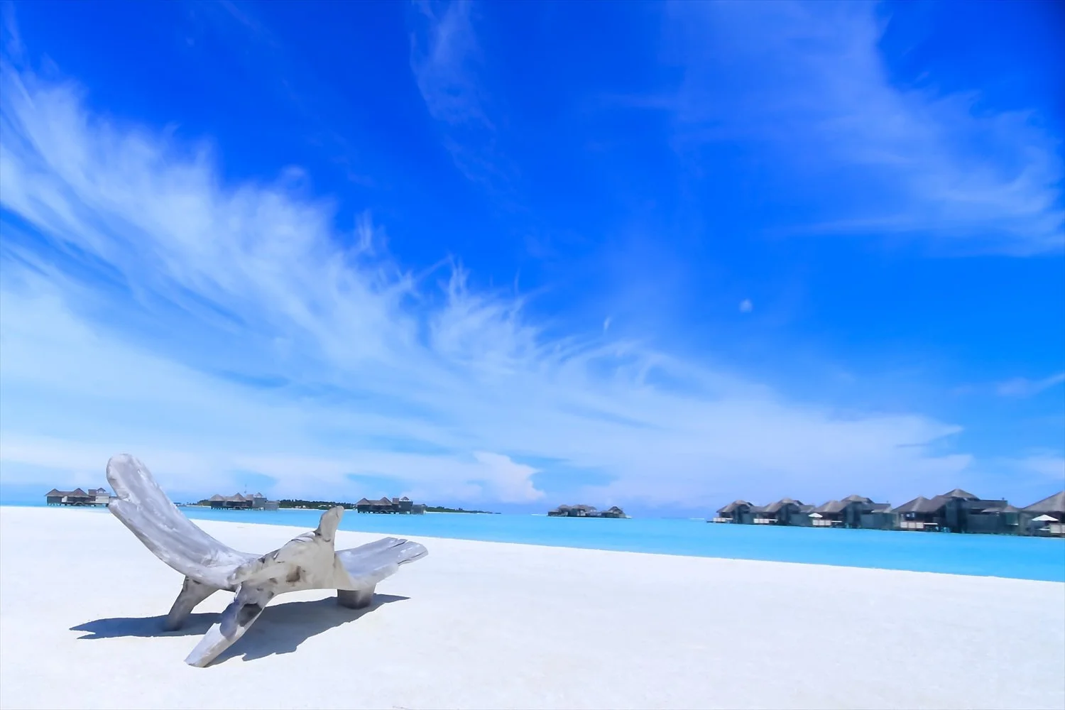 旅行用パンフレット･地方自治体等撮影