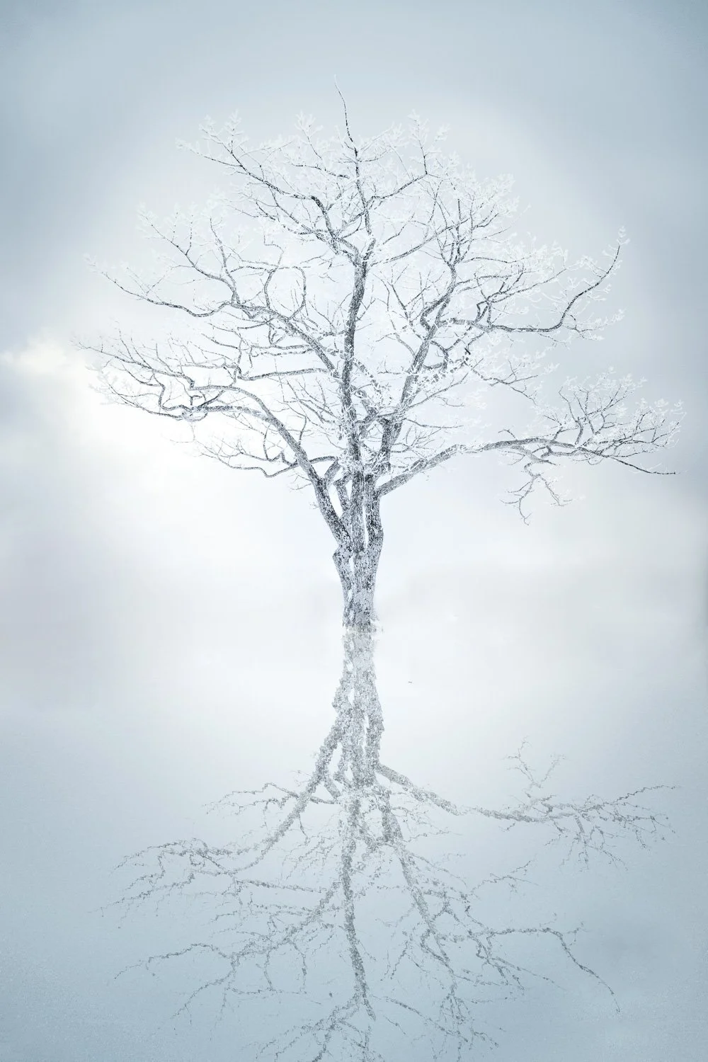 Existence_WebSS_002.jpg