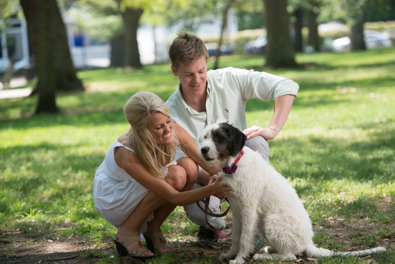 Dreamkeeper San Diego beach portrait photographer Dream shoot portrait "Mans Best Friend"