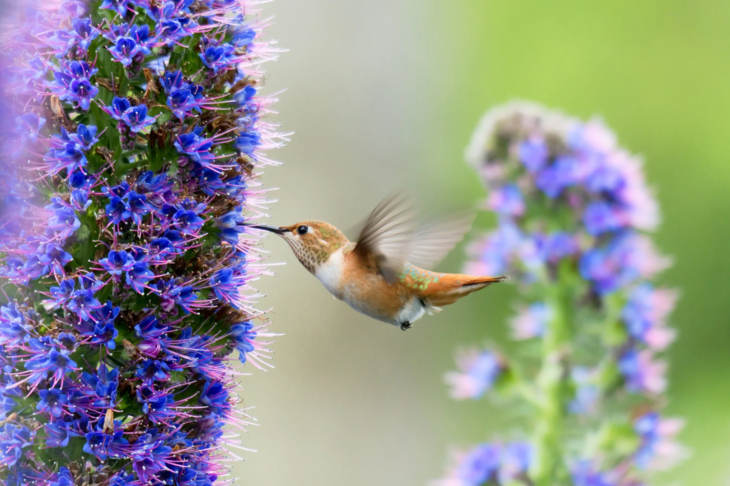 AdobeStock_63084047.jpeg