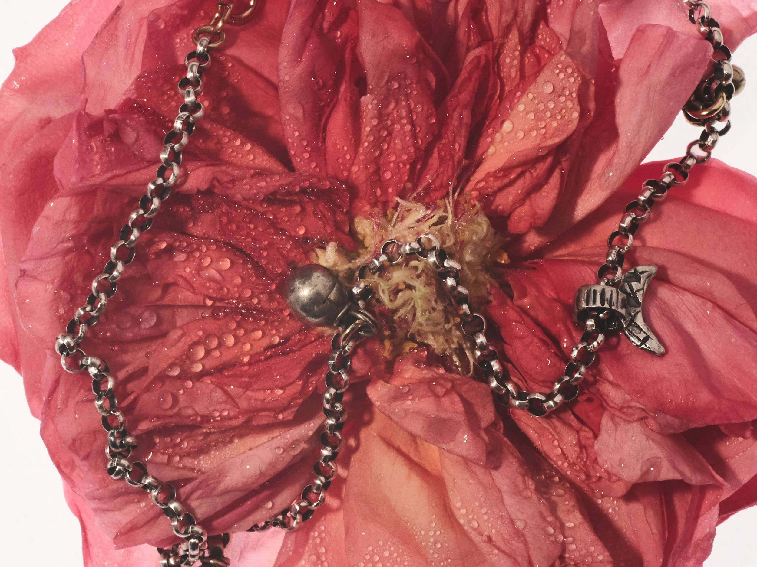 1654_TAR_004_0068 copy.jpg