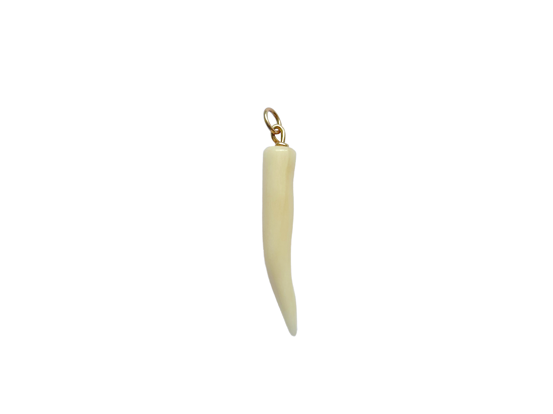 Buffalo Tusk Pendant by Tara Turner.png