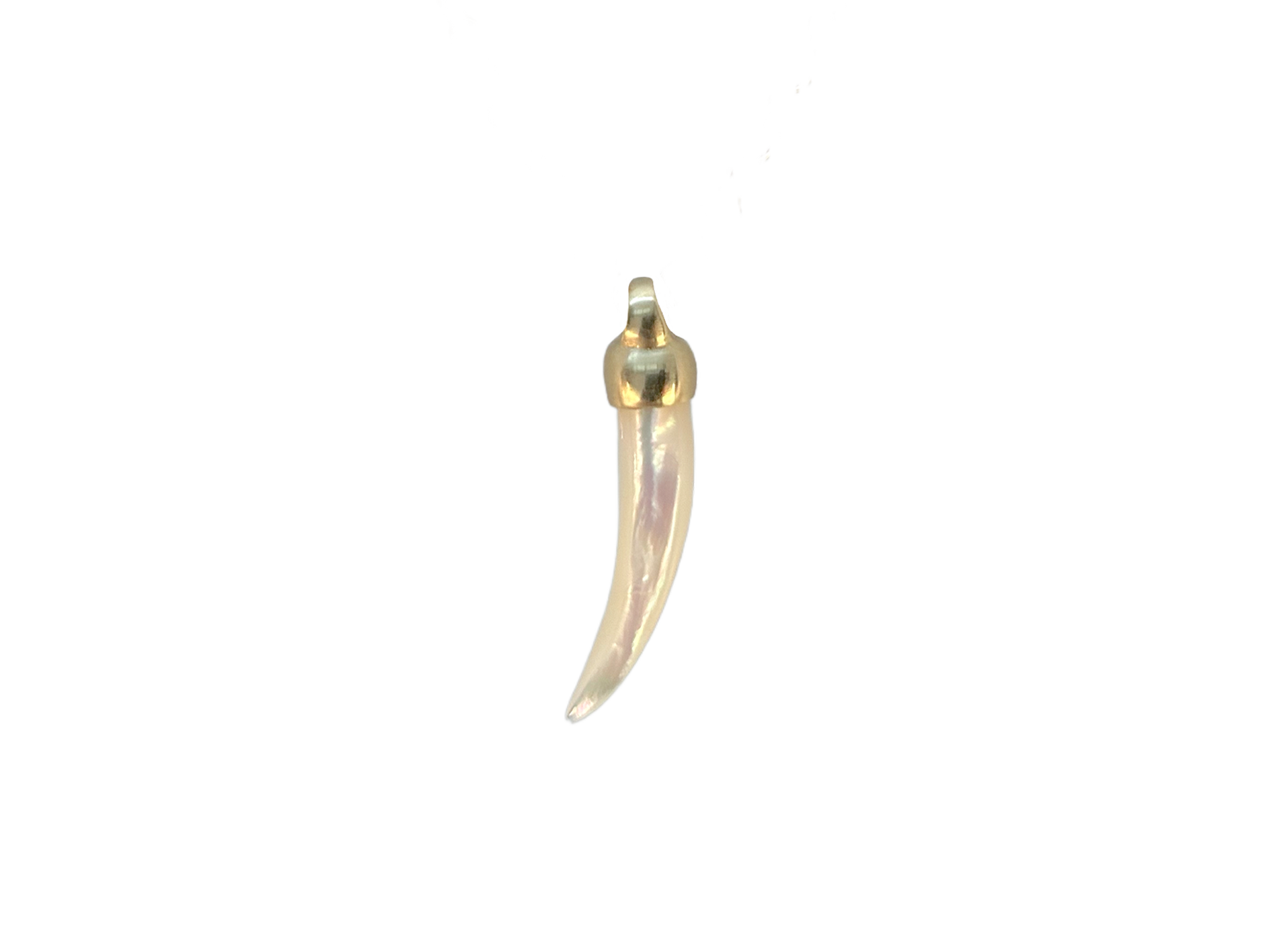 Mother of Pearl Tusk by Tara Turner.png