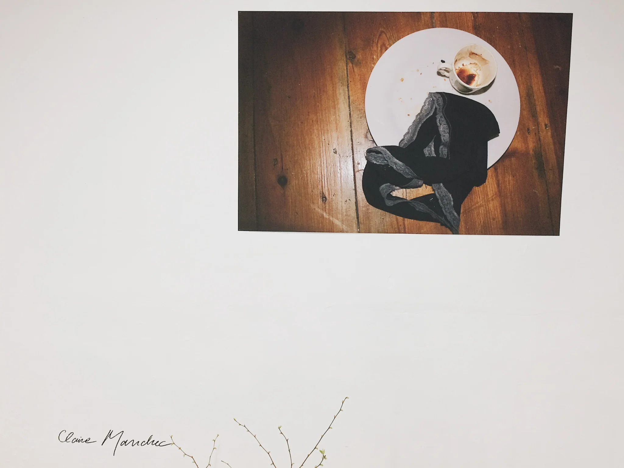 Claire Manchec : Sans titre