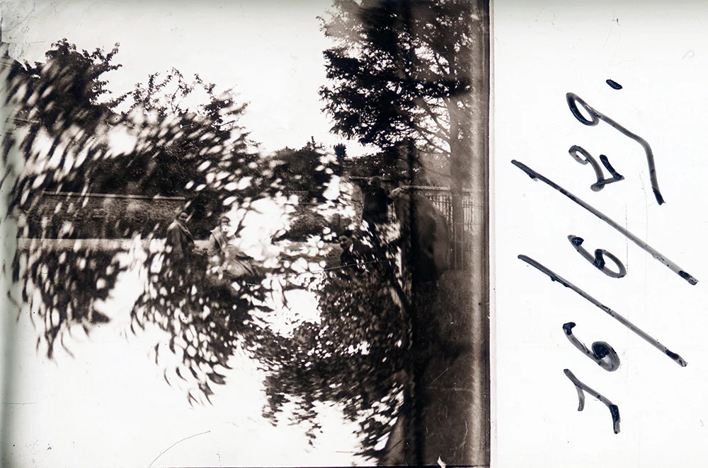 image1.jpg