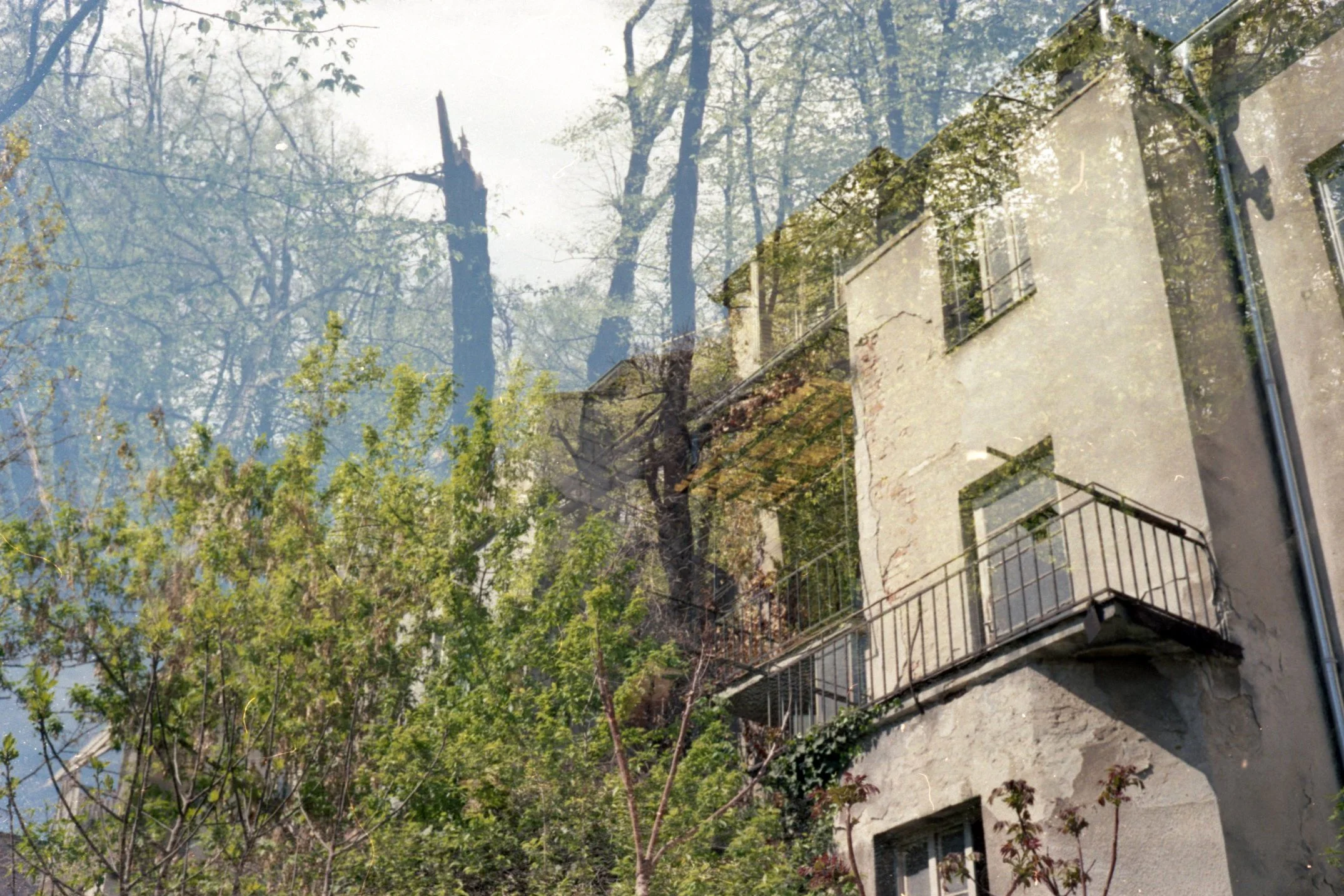 img20260417_648.jpg