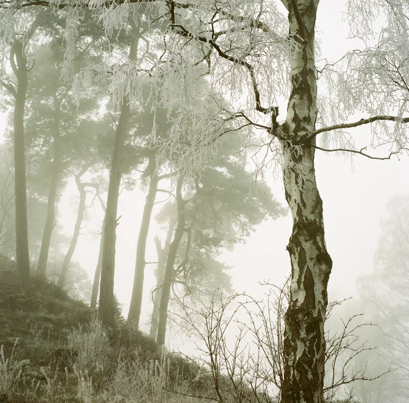 Further adventures in film... January 2016