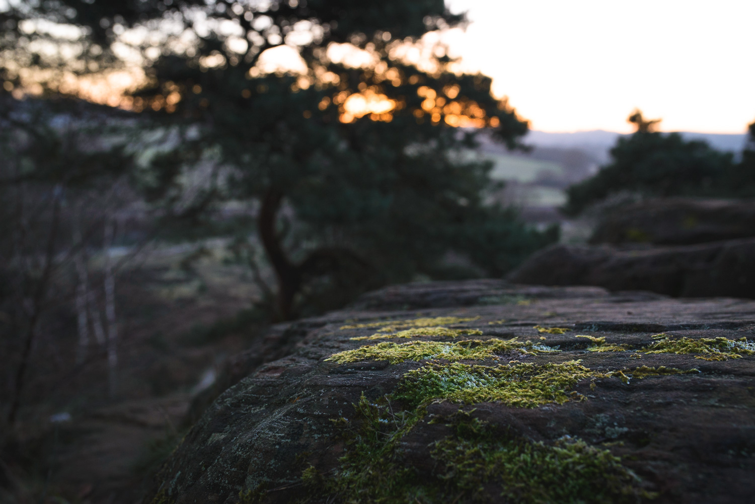 The view at sunset from the 'Devils Spittleful' in the Rifle Range nature reserve.
